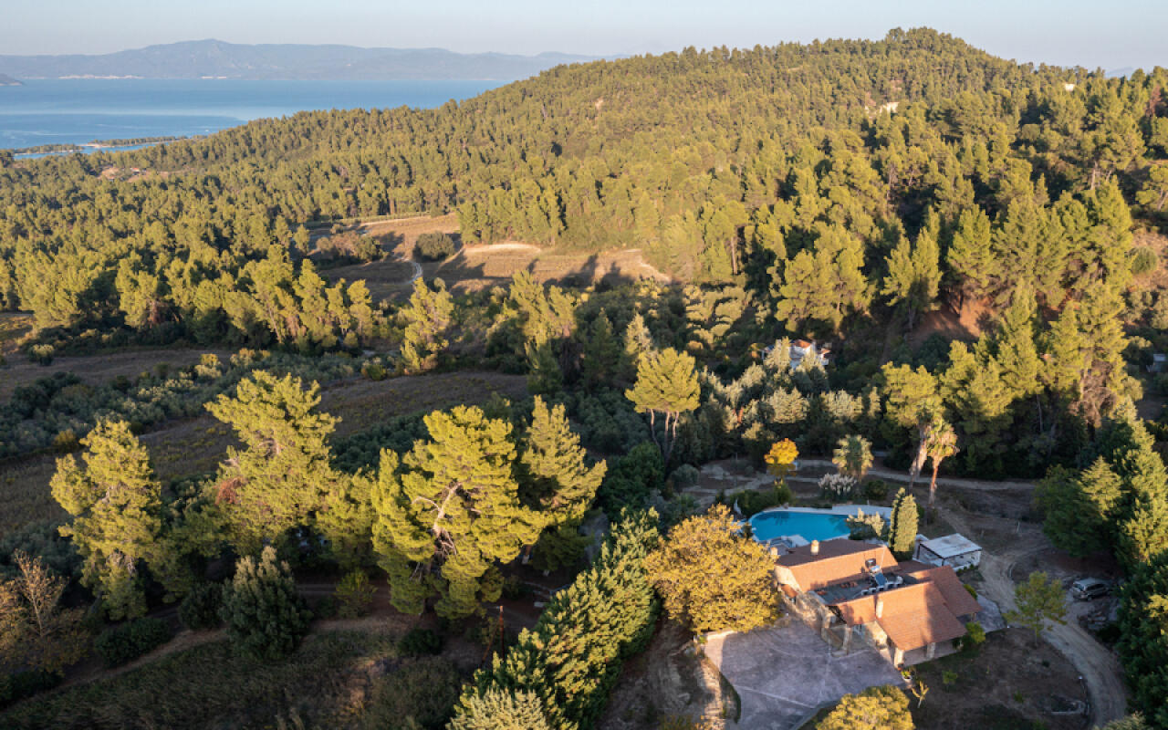 Constantin Villa, Agia Paraskevi