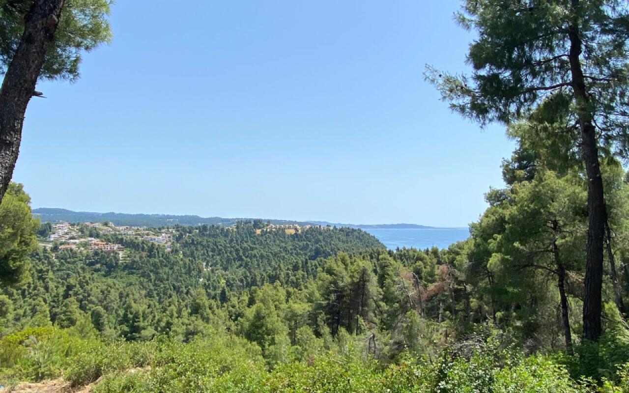 Beyond the Pines Villa, Elani