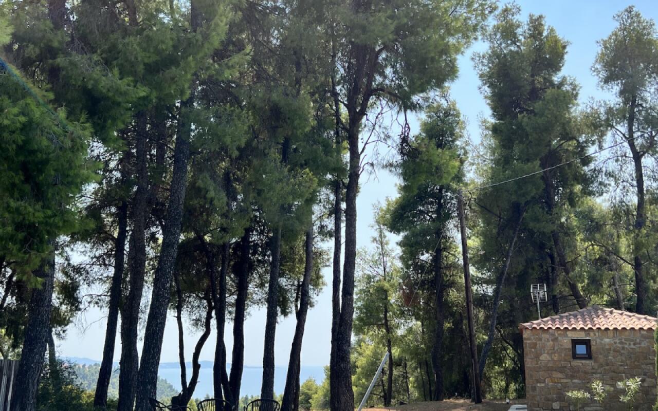 Beyond the Pines Villa, Elani