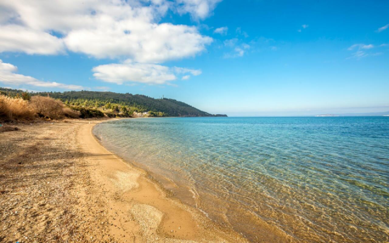 Daroma Villa, Paliouri