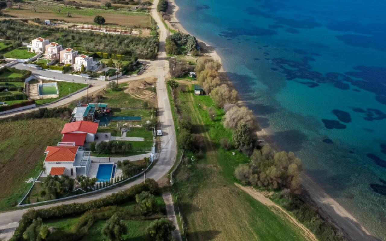 Daroma Villa, Paliouri